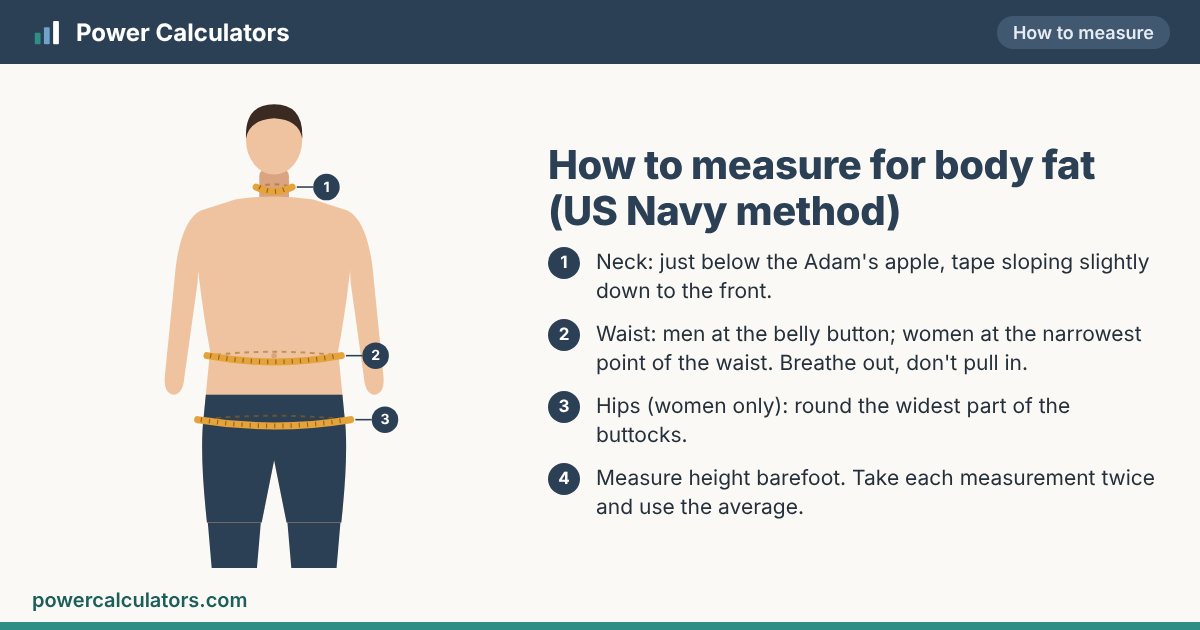 Illustration: how to measure for body fat (us navy method) — Neck: just below the Adam's apple, tape sloping slightly down to the front. Waist: men at the belly button; women at the narrowest point of the waist. Breathe out, don't pull in.